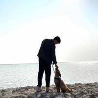 安徽29沃派星头像