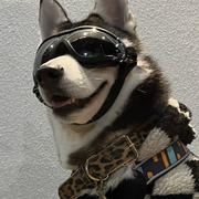 Jack479的个人资料头像