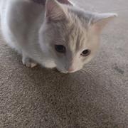 普朗珂的个人资料头像