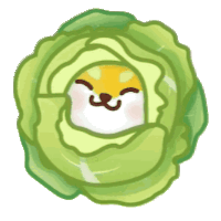 小麦粉的个人资料头像