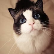 零烨的个人资料头像