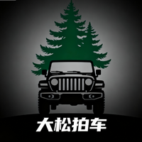 大松拍车头像