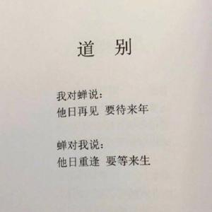 小八爱搞笑头像