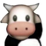 v糖炒板栗头像