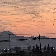 自无忧的个人资料头像