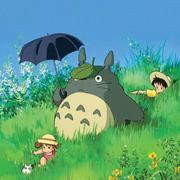 路飞890的个人资料头像