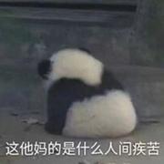 wanyue的个人资料头像