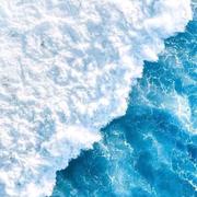 olivetree的个人资料头像