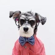 Emrys_Chen的个人资料头像