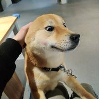 用户8483958801629头像