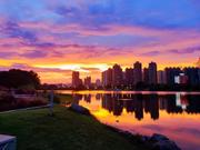 bey的个人资料头像