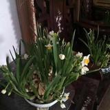 张山15757065822765822头像