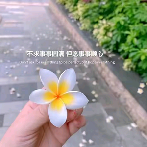 花落忆流年头像