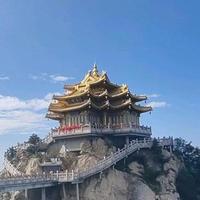 田  柒头像