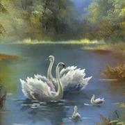 广场舞大妈的个人资料头像