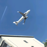 迪迦在北方头像