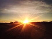 codeing的个人资料头像