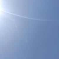 简单轮船8pj头像