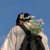 对的是的yes头像