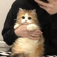 睡觉睡一天856头像