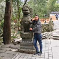 我有一辆小憨虎头像