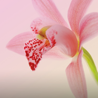 用户9580736450877头像