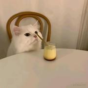 askk的个人资料头像