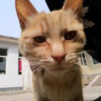 俩胖生活超市头像