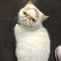 人多我就撤头像