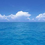 oceanfive的个人资料头像