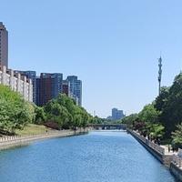 朝十晚八头像