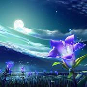 用户6201371224416的个人资料头像