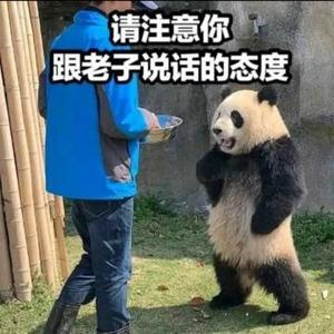 乐驹小情人限流号头像