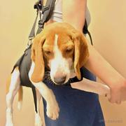 Mangooooo的个人资料头像