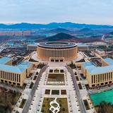 登哥打酱油头像