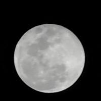 体面临睡贺腆头像