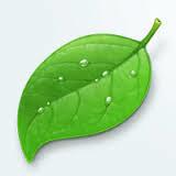 小虾的夏天的个人资料头像