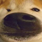 用户2415032414048头像