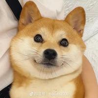 写诗不用笔头像