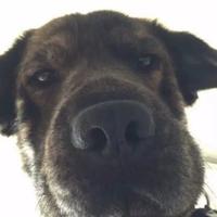 不走道不睡觉头像