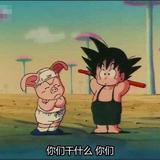 100头像