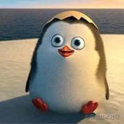 QDM的个人资料头像