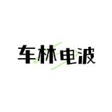 车林电波头像