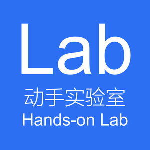 Hands-on Lab