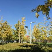 徐涛532的个人资料头像