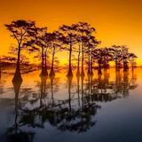 行文简浅显头像