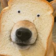 罗二团的个人资料头像