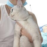 追茶到底405头像