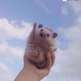 亚伦亚伦啦啦啦啦头像