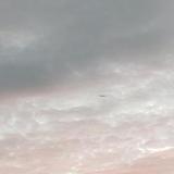 梦飞的旅行头像